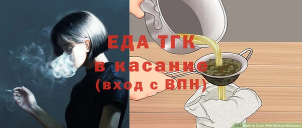 шишки Горняк