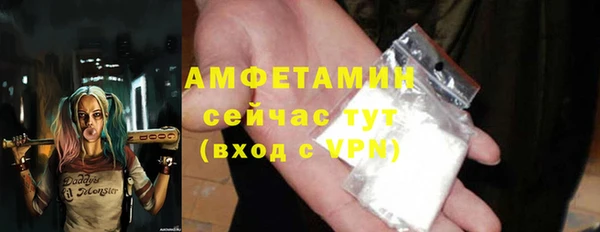 шишки Горняк