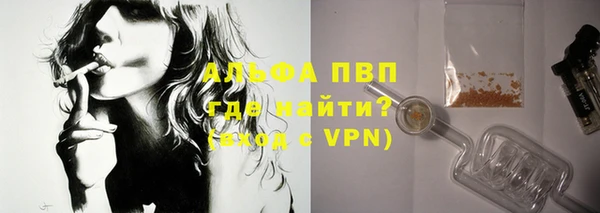 шишки Горняк