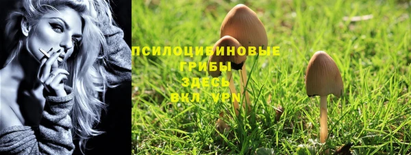 шишки Горняк