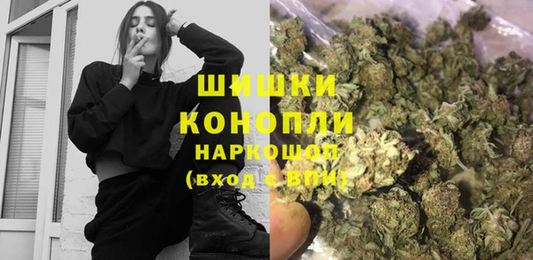 шишки Горняк