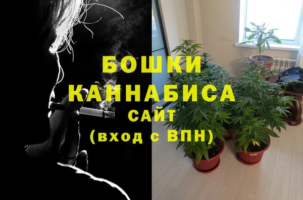 шишки Горняк