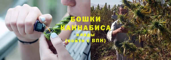 шишки Горняк