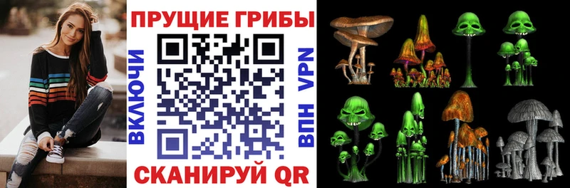 Псилоцибиновые грибы Psilocybine cubensis  Купить закладки  Нарткала 
